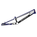 Syndyt SYB 210: 21” TT Pro XL BMX Frame
