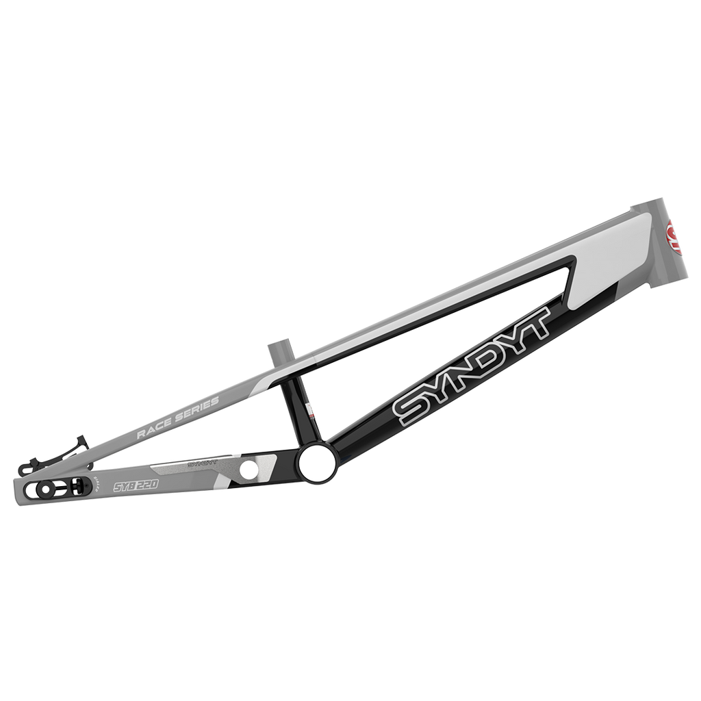 Syndyt SYB 220: 22” TT Pro 3XL BMX Frame