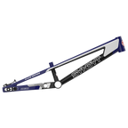 Syndyt SYB 220: 22” TT Pro 3XL BMX Frame