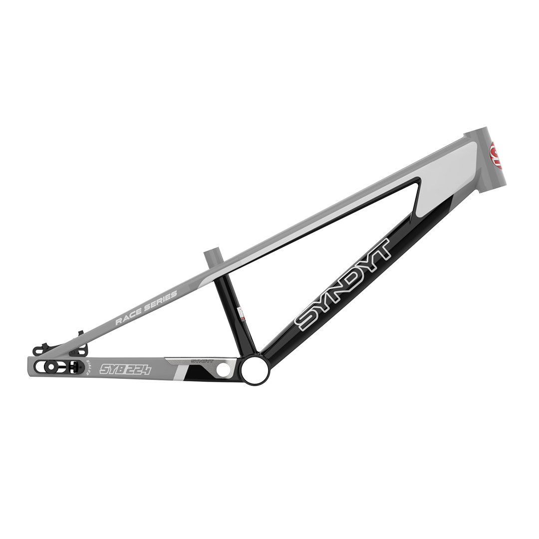 Syndyt SYB 224: 22” TT Pro 24 XL BMX Frame