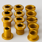 AMP Alloy Chainring Bolts