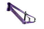 Speedco Velox Evo Carbon BMX Race Frame