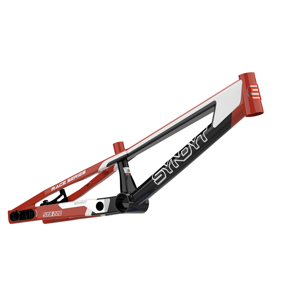 Syndyt SYB 220: 22” TT Pro 3XL BMX Frame
