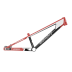 Syndyt SYB 224: 22” TT Pro 24 XL BMX Frame