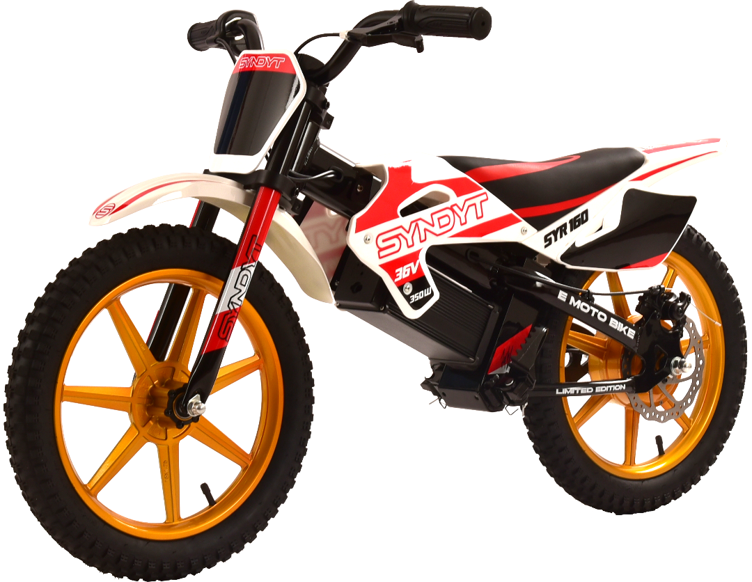 SYNDYT SYR 160 16" E Balance Bike. 36 Volts. 10 AH. 350 Watts. 5, 10, 16mph