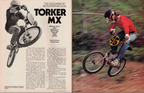 Torker | 2026 50 Year Anniversary Big Bike