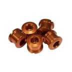 INSIGHT CHAINRING BOLTS 6.5X4MM ALLOY
