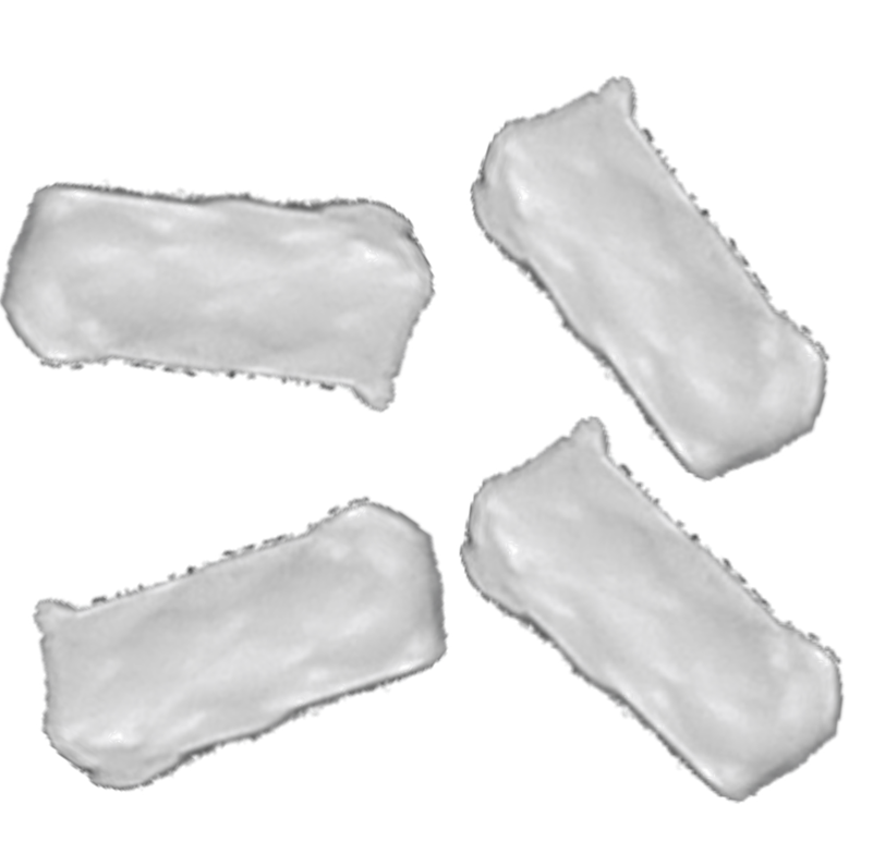 Individual Berd Builder's Kit Consumables