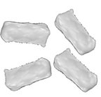 Individual Berd Builder's Kit Consumables
